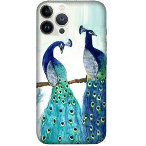Birds 026