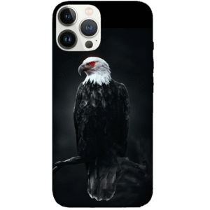 Birds 028