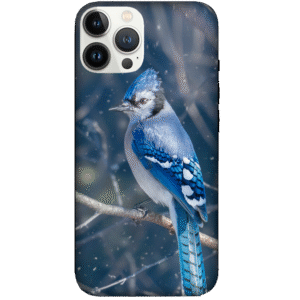 Birds 029