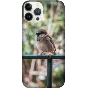 Birds 033