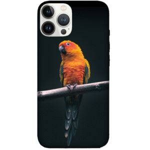 Birds 036