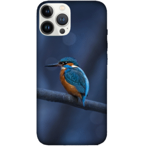 Birds 040