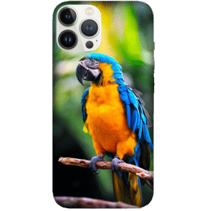 Birds 042