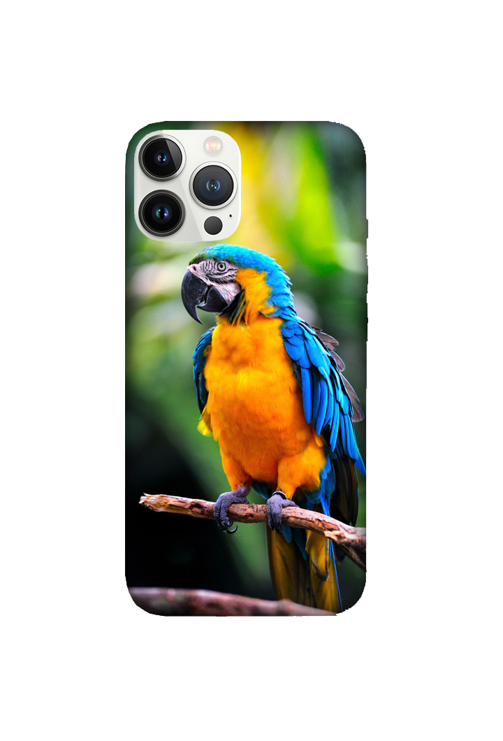 Birds 042