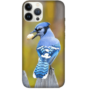 Birds 044