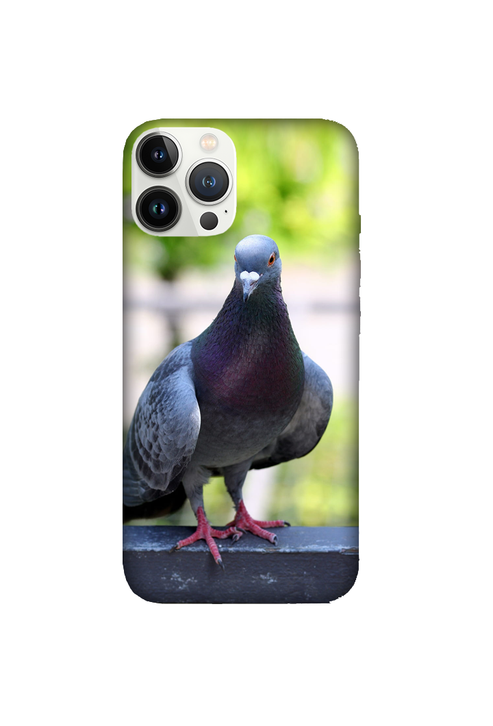 Birds 048