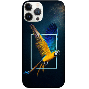 Birds 060