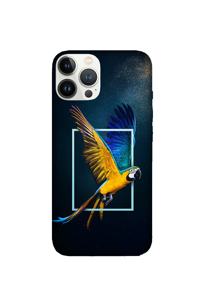 Birds 060