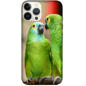 Birds 062