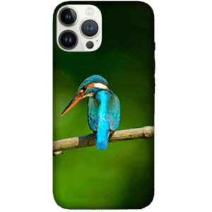 Birds 070
