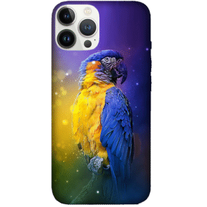 Birds 071