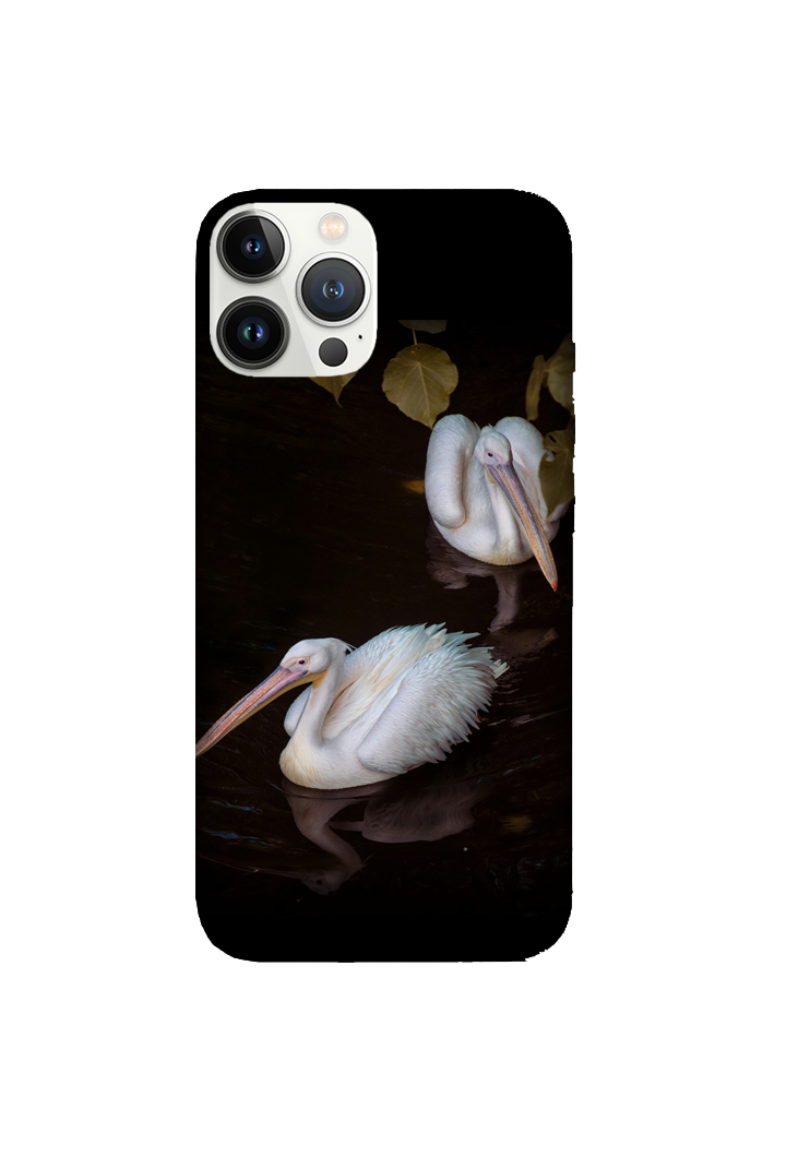 Birds 072