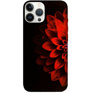 Designs 209