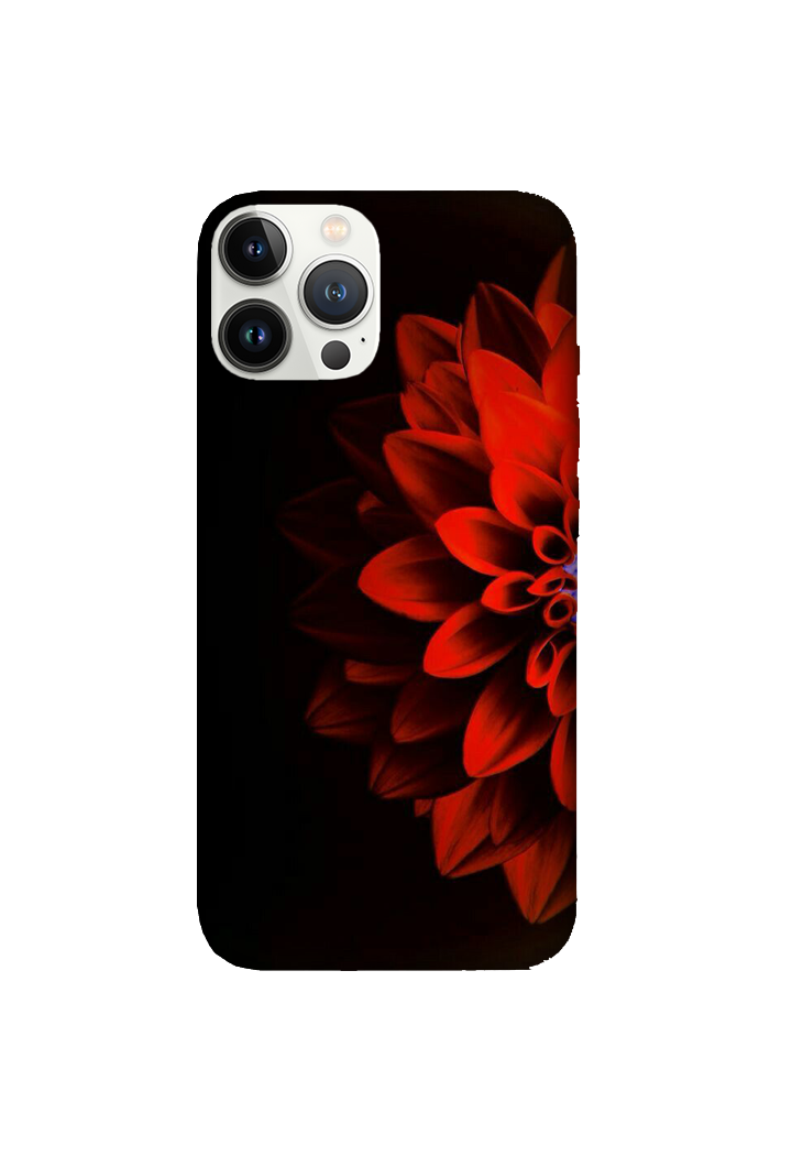 Designs 209