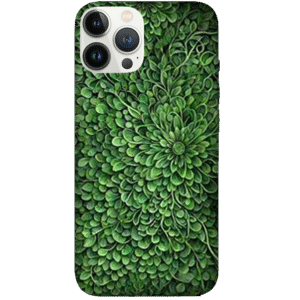 Designs 072