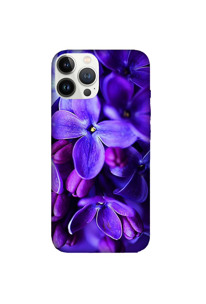Flowers 001