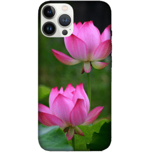 Flowers 100
