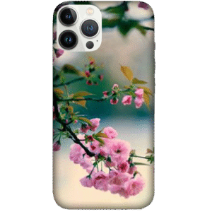 Flowers 102