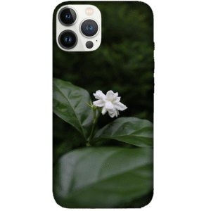 Flowers 103
