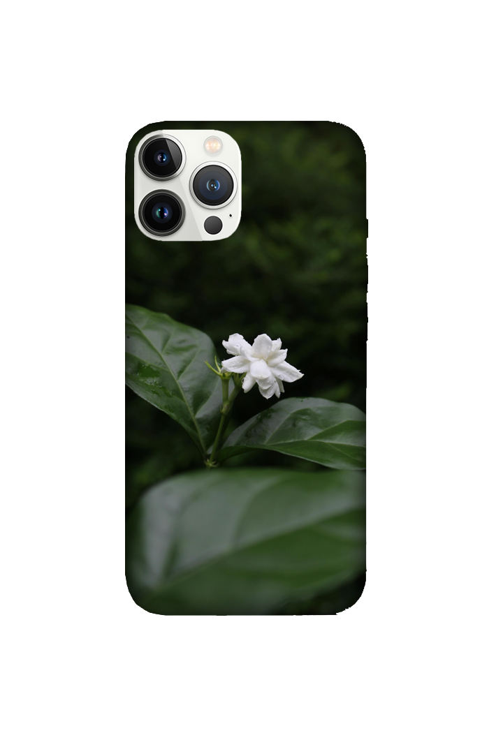 Flowers 103
