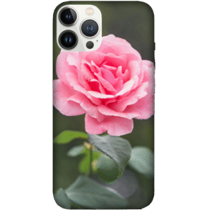 Flowers 104
