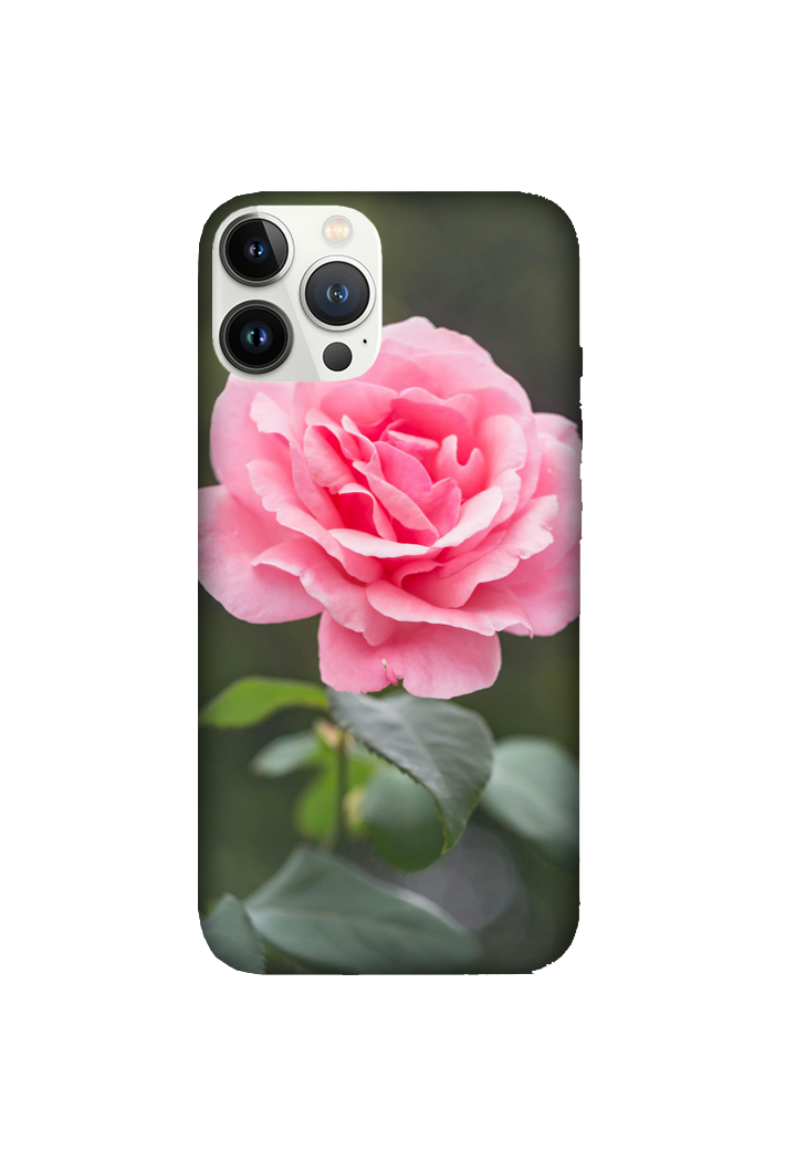 Flowers 104