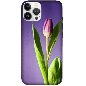 Flowers 106