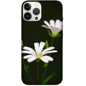 Flowers 107