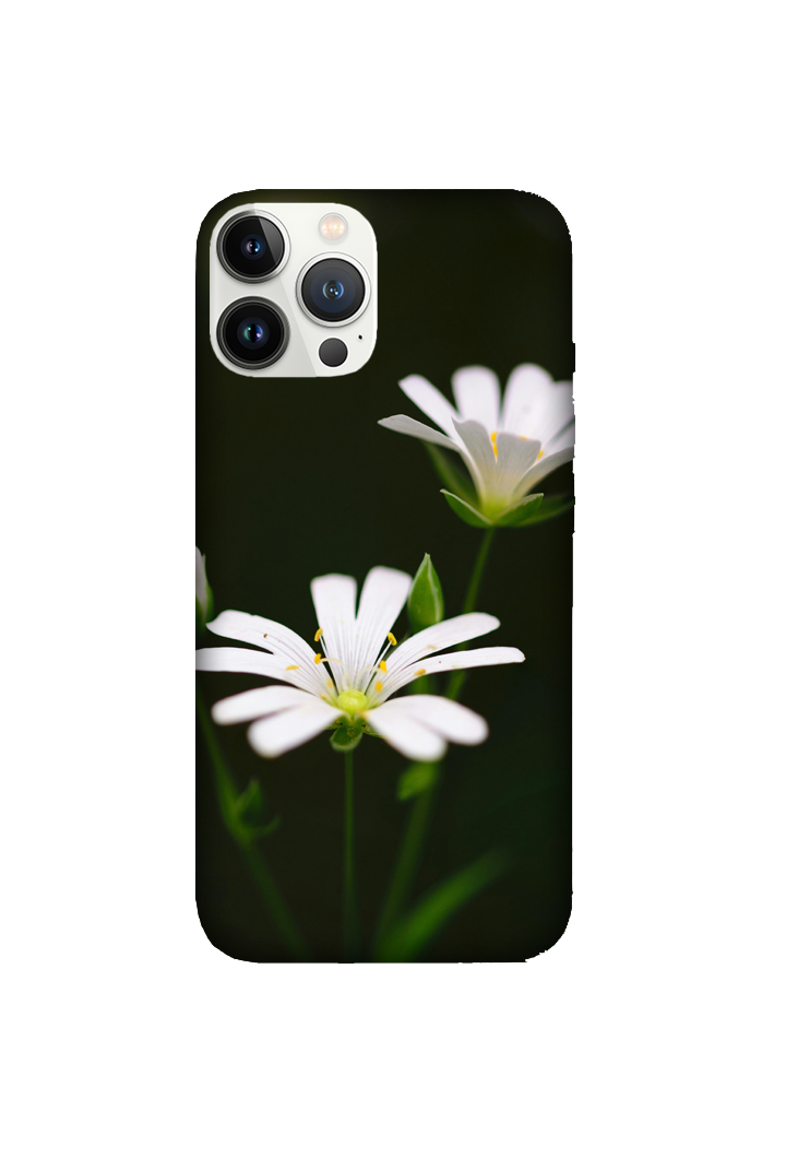 Flowers 107