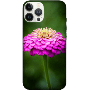 Flowers 108