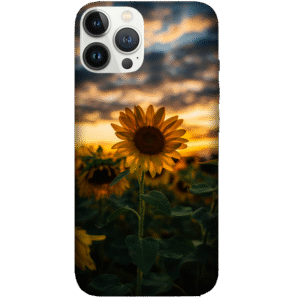 Flowers 109