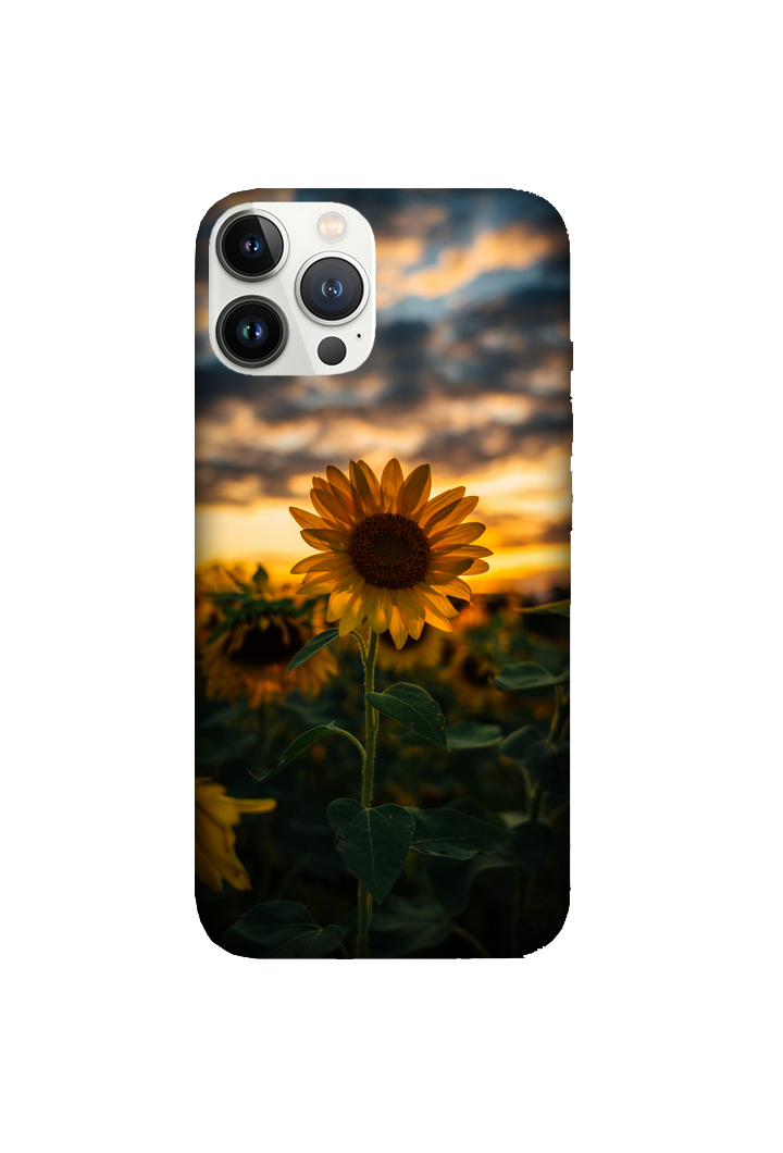 Flowers 109