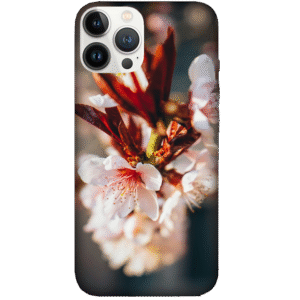 Flowers 111