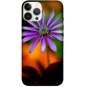 Flowers 013