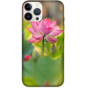 Flowers 024