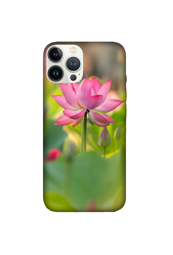 Flowers 024