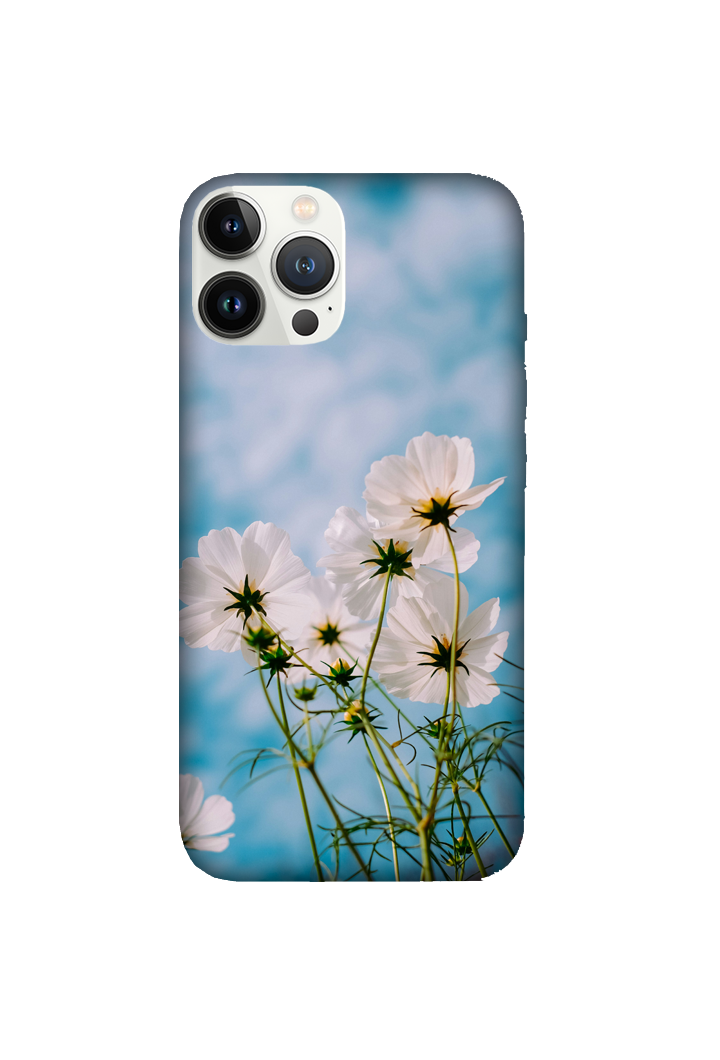 Flowers 003
