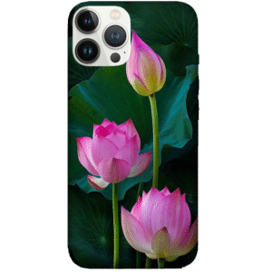 Flowers 030