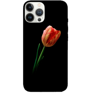 Flowers 031