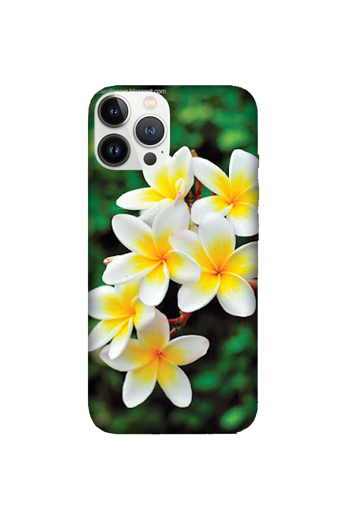 Flowers 033