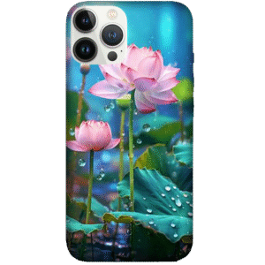 Flowers 034
