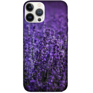 Flowers 035