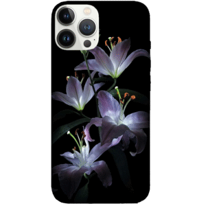 Flowers 043