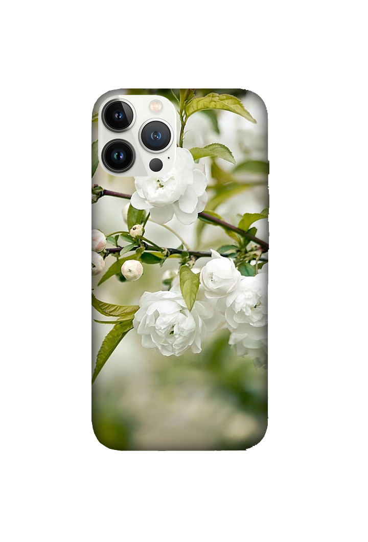 Flowers 044