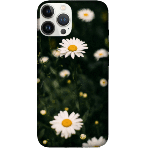 Flowers 047