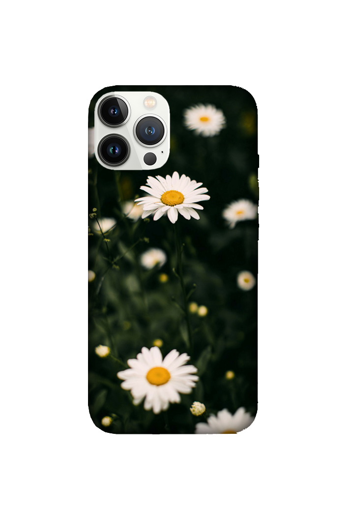 Flowers 047