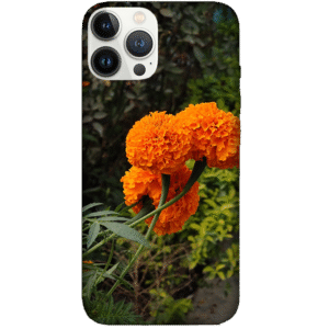 Flowers 048