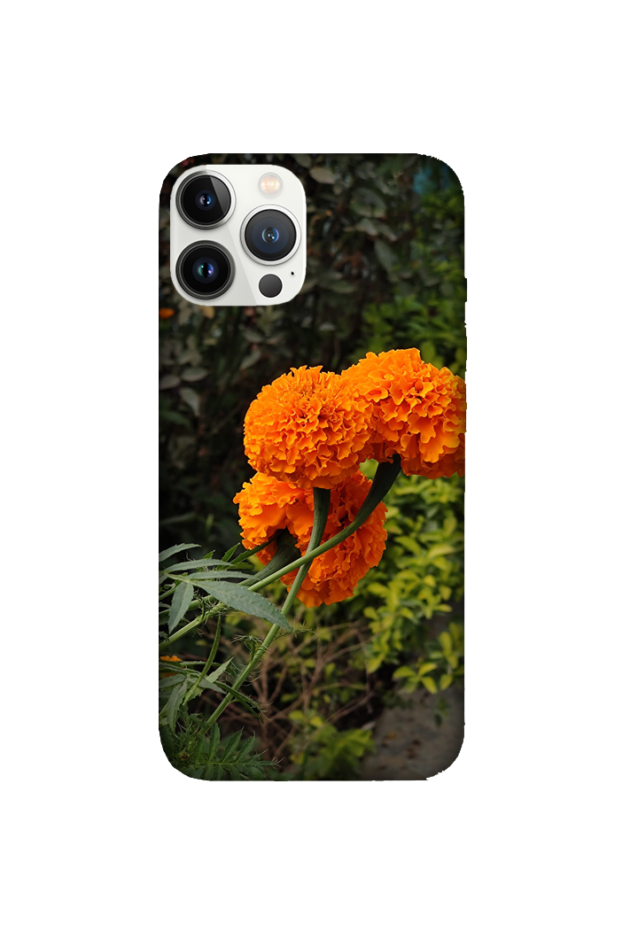 Flowers 048