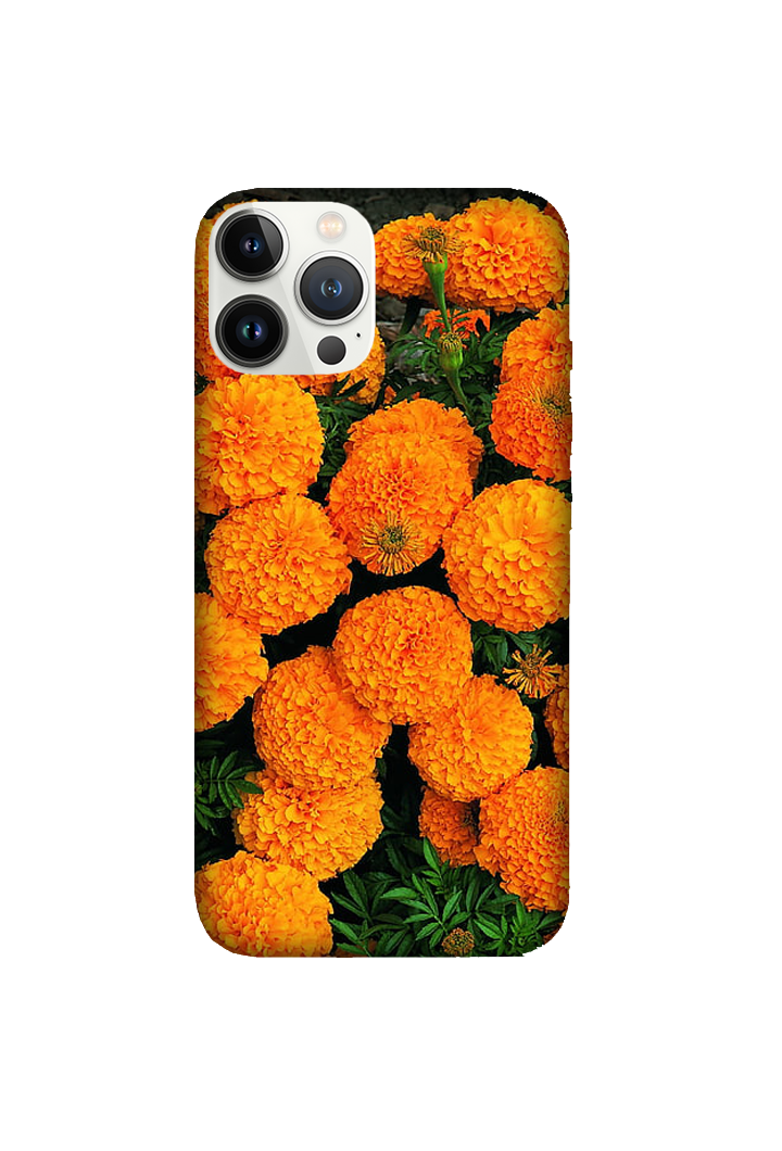 Flowers 049