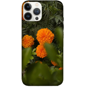 Flowers 050